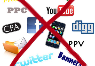 help you get website traffic. I will complete a 30 page report that tells you exactly what you need to do to get more traffic and rank higher in Google, Yahoo, and Bing. 10 Years Of Experience. big1