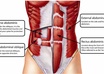make six  pack abs to you in 2 weeks