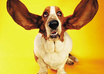 listen to you rant about anything