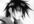tell you almost everything an otaku needs to know