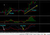 show you which direction to trade in everyday