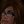 mary_cool