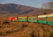 give you 100 railroading pictures of BEST quality