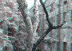 turn your photo into 3D with help anaglyph glass