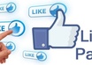 send 3000 High Quality Facebook Likes on your facebook fanpage within 24 hrs
