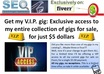 Vip_gig