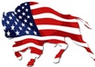 Flag_buffalo_small