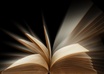 A-brighter-day_book