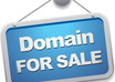 teach you How to Flip Domains