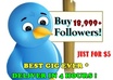 add 18,999+ BEST Top quality twitter followers to your twitter account without the need of your password in just 4 hours