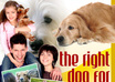 give you the professionally written and designed salesletter and the ebook Choosing Dog Breeds and all graphics and the PLR License to all