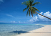 help plan your next vacation