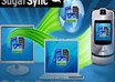 Sugarsync-storage-solution