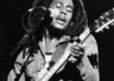 take a photograph of bob Marley house