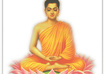 tell you about Meditaion small1