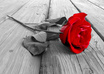 write a love poem or letter for you, to your soulmate