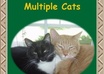 design a 2 dimensional cover for your ebook small1