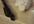 make you a soft and wooly sheep figurine out of clay