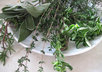 Herbs