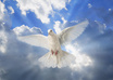 provide you with a genuine caring and intuitive holy SPIRITS reading with incredible accuracy and detail