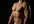 teach you how to start out in Body Building professionally at home