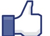 give you 100 real facebook likes