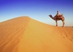 provide research material on rajasthan india