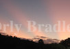 take 5 photos of interesting clouds, flowers or anything in nature that I can for you
