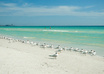 write a Message in The Sand of the Best Beach in the US