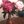 pink_slinky