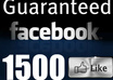 give 1500+ Top Quality Real looking and Permanent Facebook Likes From USA or Fans to your facebook fan Page all likes deliver within 1 hours