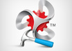install, configure, resolve dotnetnuk module/skin/templates and issues