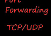 help you forwarding a port