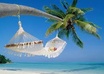 give you a list of advice of what to do and what not for traveling in Thailand and Vietnam