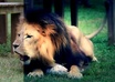 edit Your Video and Add Custom Effects to Make it More Appealing small1