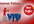 send you 150 PINTEREST followers to your profile