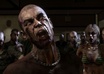 answer any questions about zombies or zombie survival