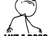 make a custom Pokemon card of anything you want