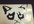 send you a grumpy cat sticker