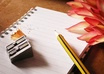write about any pitched topic/idea passionately and creatively
