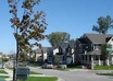 Neighborhood-street_jpg