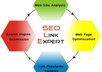 build 100 quality seo backlinks by commenting on top seo sites with same niche