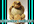 send you a handmade Coconut Monkey, Only ONE left