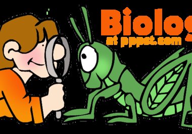 do your biology and general science homework big1