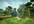 say whatever you want while playing Minecraft