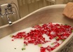 send you over 500 bath and beauty recipes