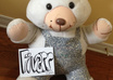 take a picture of a Teddy Bear with your message small1