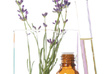create a custom essential oil blend