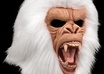 dance, sing, talk in a gorilla mask