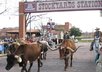 feature your Fort Worth or Arlington based business on a Fort Worth fan page on Facebook with 2000 plus members Very Targeted